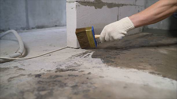 SJ Waterproofing Pros Waterproofing coverage map for Carrollton, AL and surrounding area
